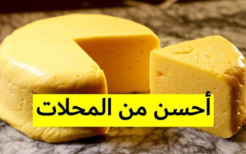 مش هتشتريها من بره تاني… طريقة عمل الجبنة الرومي في البيت بكوب حليب واحد