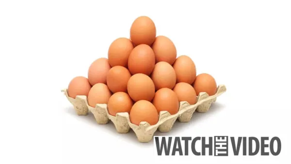 «تللعباقرة فقط».. هل يمكنك معرفة عدد البيض الموجود في الكرتونة خلال 10 ثوان؟ 