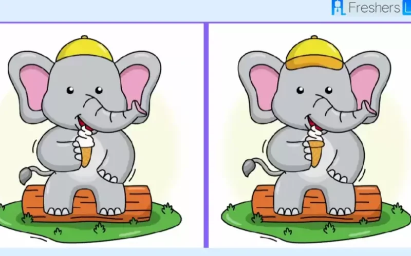 «لغز 10 ثواني»..  هل يمكنك اكتشاف 3 اختلافات بين صور الفيل الفرفوش؟ 