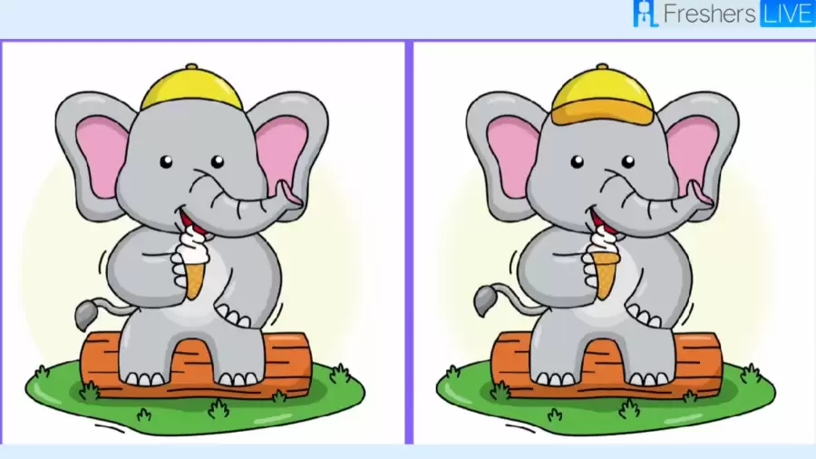 only 1 of attentive people can spot 5 differences in the elephant picture in 20 seconds 65155d48279cc64676219 900