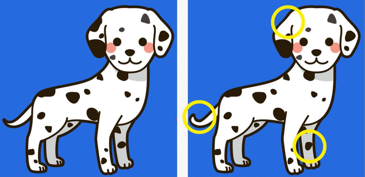 spot 3 differences in the dalmatian puppy picture solution
