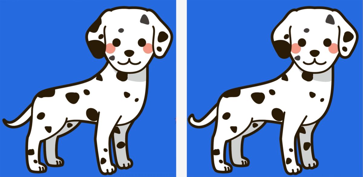 spot 3 differences in the dalmatian puppy picture