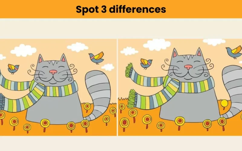 “لغز القط السعيد”.. هل يمكنك اكتشاف 3 اختلافات في 7 ثواني؟