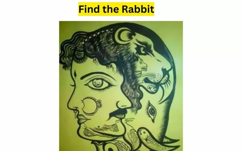 “لو لماح هتحلها”.. هل يمكنك العثور على الأرنب في 21 ثانية؟