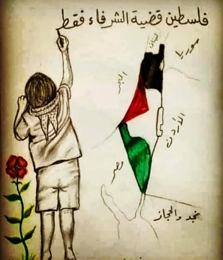 رسومات فلسطين 4