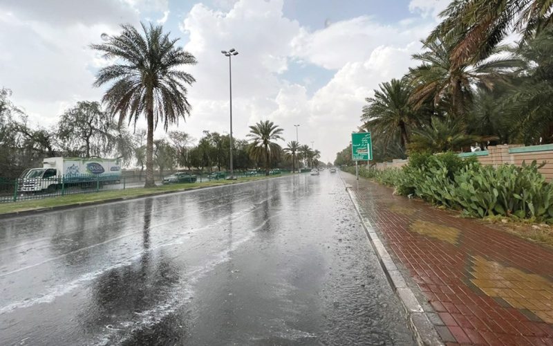 “شبورة كثيفة وأمطار رعدية”.. الأرصاد تحذر من طقس ال6 أيام القادمة (بيان رسمي)