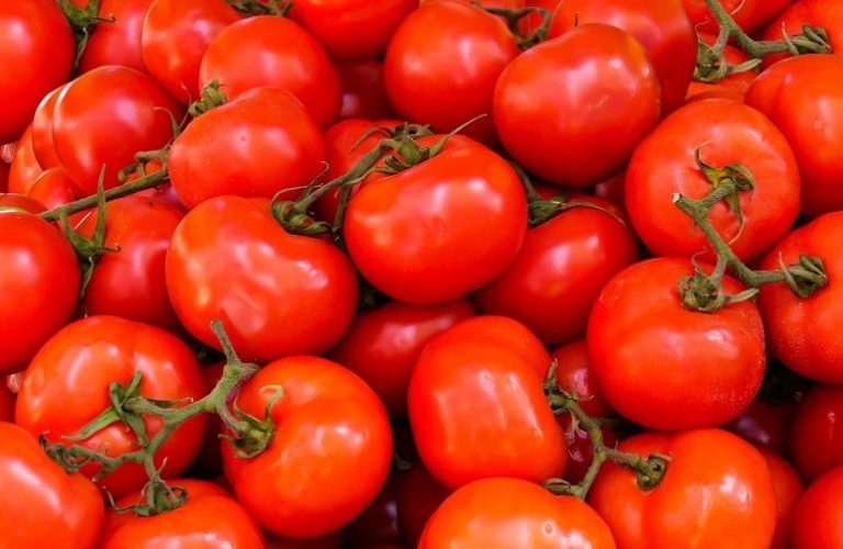 “افرحوا يامصريين”.. موعد انخفاض أسعار الطماطم بالأسواق