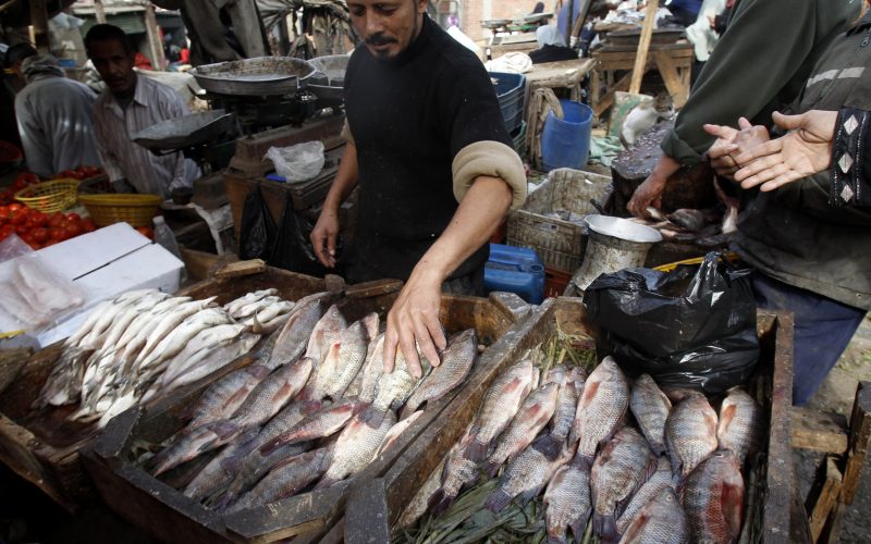 أوعى تاكلها لو هتموت من الجوع.. تحذير من انتشار سمكة سامة في الأسواق